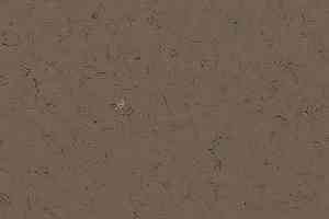 Кварцвиниловые полы Forbo Allura Colour/Colour Plus C68018-651018 faded brown фото  | FLOORDEALER